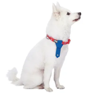 Summer Vacation Beach Dog Collar with Tie, Bon Voyage Sailboat Design